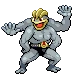 Mackogneur Machamp カイリキー