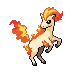 Ponyta Ponyta ポニータ