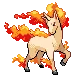 Galopa Rapidash ギャロップ