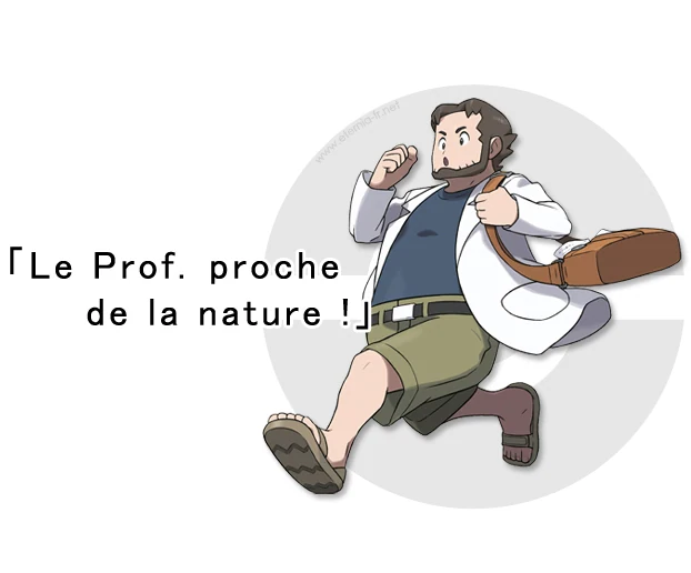 prof seko