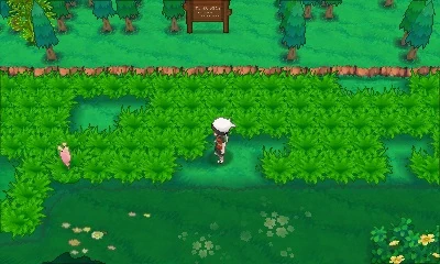 navi map