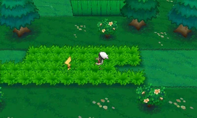 navi map