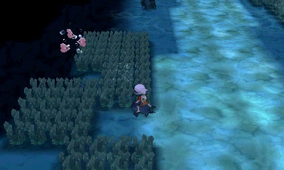 navi map