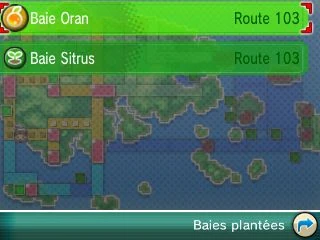 navi map