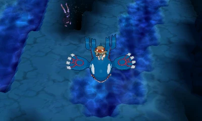 surf