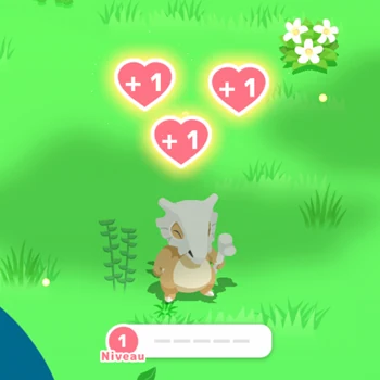 Pokémon Soutien Amitié