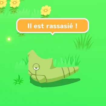 Pokémon Soutien Amitié