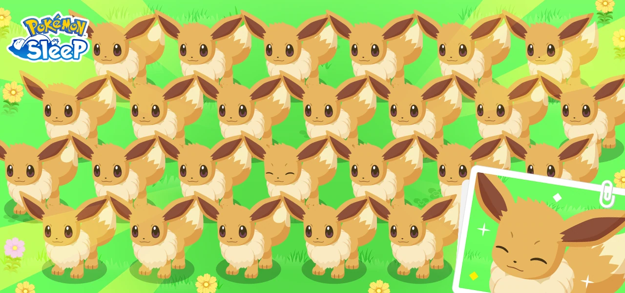 Semaine Evoli Pokémon Sleep