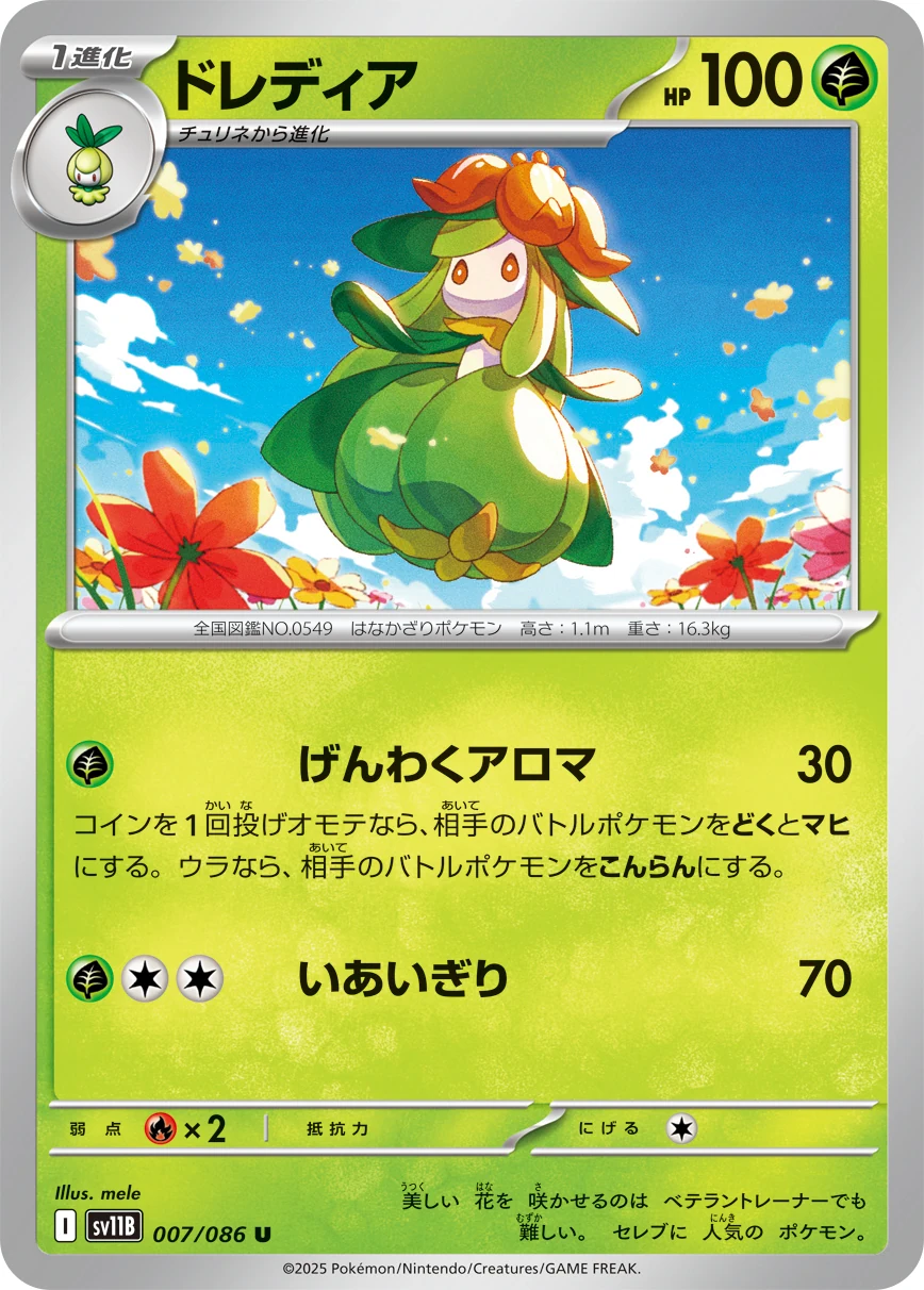 sv11B - Fragilady
