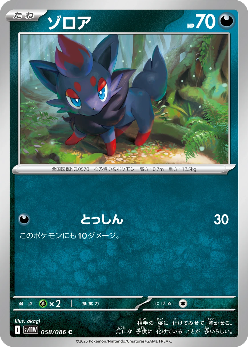 sv11W - Zorua