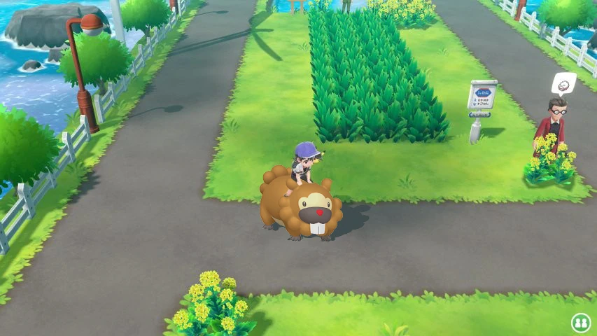 bidoof chevaucher