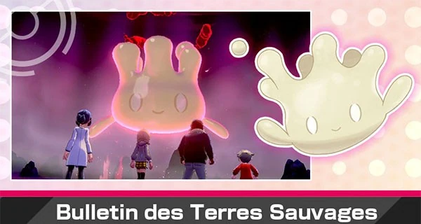 banniere