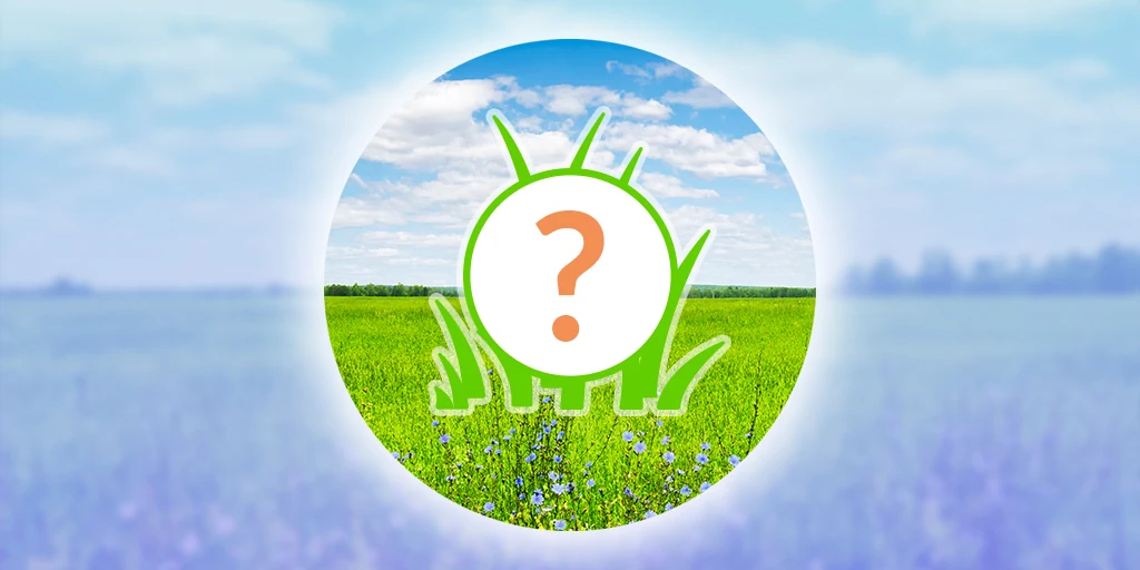 Pokemon GO heures bonus