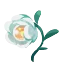 poke recre