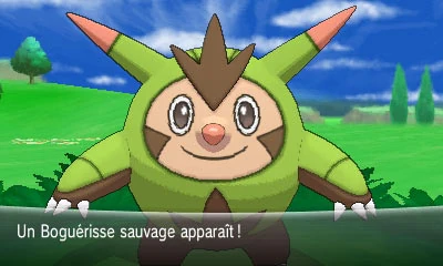safari amis