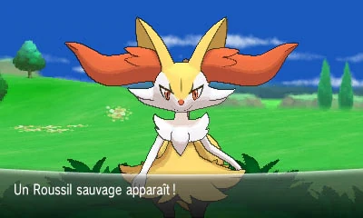 safari amis