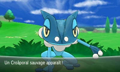 safari amis
