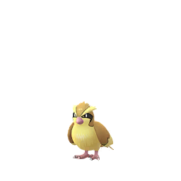 Pokémon GO - Roucool