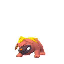 Pokémon GO - Grondogue