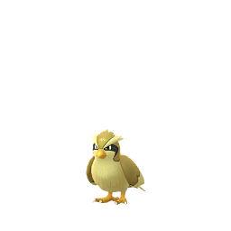 Pokémon GO - Roucool