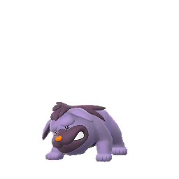 Pokémon GO - Grondogue