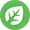 Plante