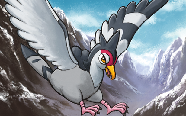 Pokémon Pocket - Domination Céleste - Colombeau