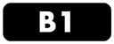 B1