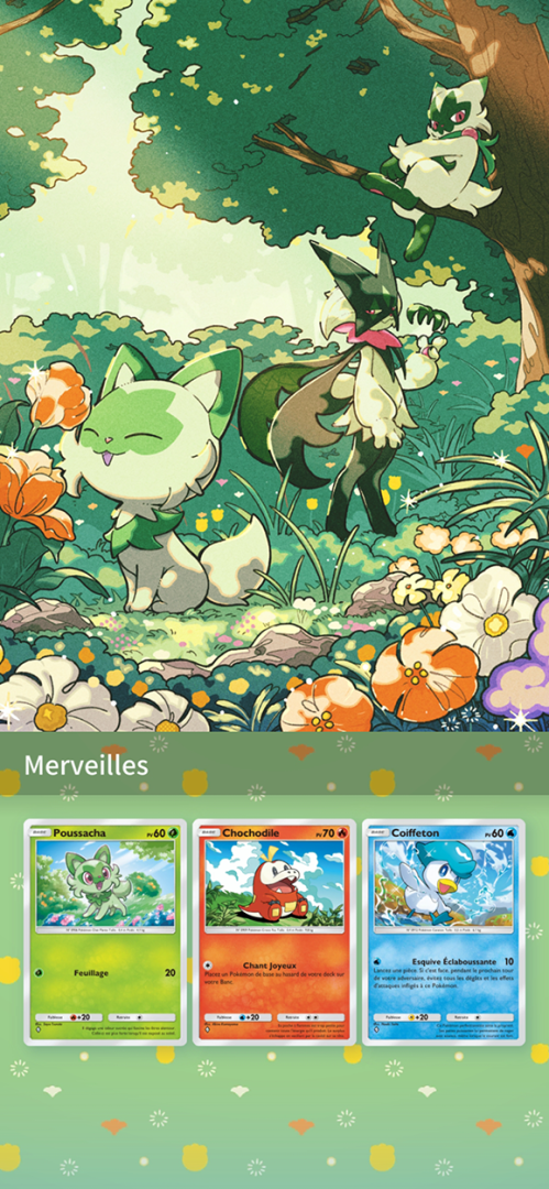 pokémon pocket