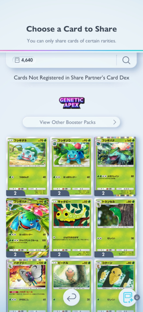 pokémon pocket