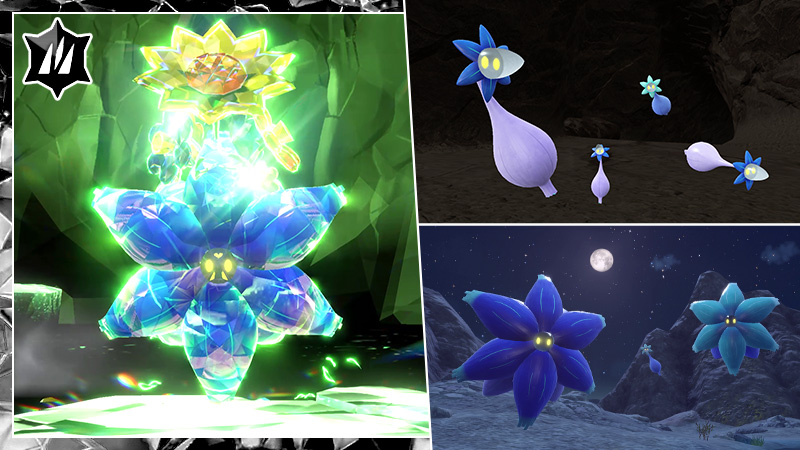 raid Floréclat pokémon écarlate pokémon violet