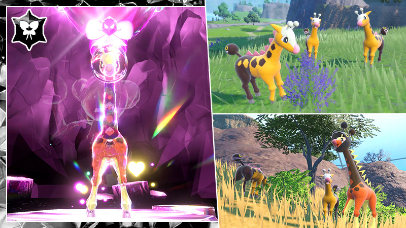 raid Farigiraf pokémon écarlate pokémon violet